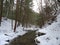 Winter Trout Stream