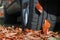 Winter tyres for wet slippery foliage