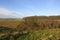 Winter valley with hawthorn trees