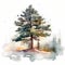 winter vibe pine tree pine nut illustration