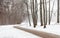 A Winter View Along a Deserted Pathway in Sigulda