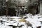 Winter View of Elakala Falls - Appalachian Waterfall - Davis, West Virginia