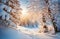 Winter view of falling snow and snow covered trees, festive magical winter background