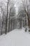 Winter view of a forest path in Orlicke hory mountains, Czech Republ