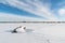 Winter view in a great plain landscape