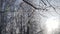 Winter view of the hanging Makarovsky bridge over the ravine of the Petrovsky dock