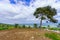 Winter view of the Jezreel valley countryside