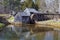 Winter View of Mabry Mill