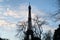 Winter view over the Eiffel Tower silhouette by day, framed with dead tree branches