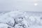 Winter view from rocky mountain ridge to the snowy wooded hills in frosty fog