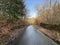 Winter view of, Shay Lane, with bare trees, and fallen leaves in, Bradford, UK