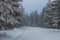 Winter view of a skiing trail in Orlicke hory mountains, Czech Republ