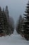 Winter view of a skiing trail in Orlicke hory mountains, Czech Republ