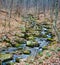 Winter View of Wild Mountain Trout Stream