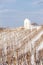 winter vineyard near Hnanice, Southern Moravia, Czech Republic