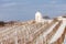 winter vineyard near Hnanice, Southern Moravia, Czech Republic