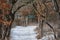 Winter Vista On A Woodland Nature Trail In Minnesota