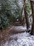 A winter walk down a little woodland lane in the snow with branches overhead