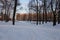 Winter walk to Marshal Govorov`s Garden