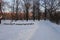 Winter walk to Marshal Govorov`s Garden