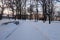 Winter walk to Marshal Govorov`s Garden