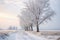 Winter walking path and trees covered with hoar frost