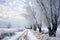 Winter walking path and trees covered with hoar frost