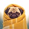 Winter warmth Pug dog cozily rests under a yellow blanket