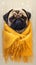 Winter warmth Pug dog cozily rests under a yellow blanket