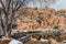 Winter at Watson Lake