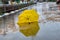 Winter weather in Israel: umbrella, rain, puddles with water circles and floods