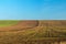 Winter wheat field in the fall with a tractor