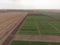 Winter wheat selection field divided into small areas for experiments