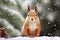 Winter Whimsy: Squirrel in the Snow