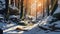 Winter Whisper: Sunlit Snowy Forest Path. Generative Ai