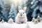 Winter Whispers: Bunny in the Snow
