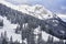 Winter white forest with snow,snow-capped mountain peaks.Wide Panoramic View