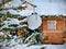 Winter white snow wooden house  in forest Christmas tree illumination and  festive  ball on green  branch  holiday card new year c