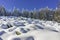 Winter wiew of Vitosha Mountain, Bulgaria