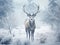 Winter wildlife landscape with noble deers Cervus Elaphus. Deer with large Horns with snow on the foreground