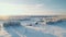 Winter Wonderland: Aerial View Of Snow Covered Pasture In Rural Finland