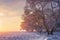 Winter wonderland. Amazing winter scene at sunset. Christmas background. Bright sunlight. Xmas holidays. Snowy nature.