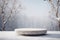 Winter Wonderland, Empty Stone Pedestal on Snow Covered Ground