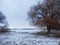 Winter wonderland frozen lake snowy trees country living