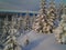 Winter wonderland in Hedmark county Norway