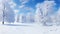 winter wonderland majestic panoramic landscape with snow covered fir trees and graceful snowfall