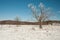 Winter wonderland in the mountains of Virginia