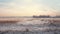 Winter Wonderland Serene Dutch-style Frozen Landscape In Rural United States