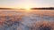 Winter Wonderland: Stunning Scenic Images Of Frosty Fields In Rural Finland