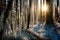 Winter wonderland with sunlit icicles in a serene forest. Generative AI.